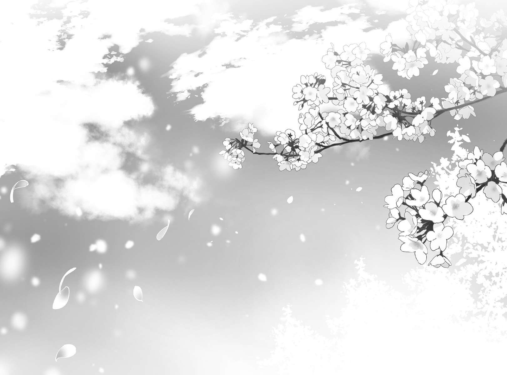 u24378-f0050aff-7d90-471c-b283-85e084ce0040.jpg